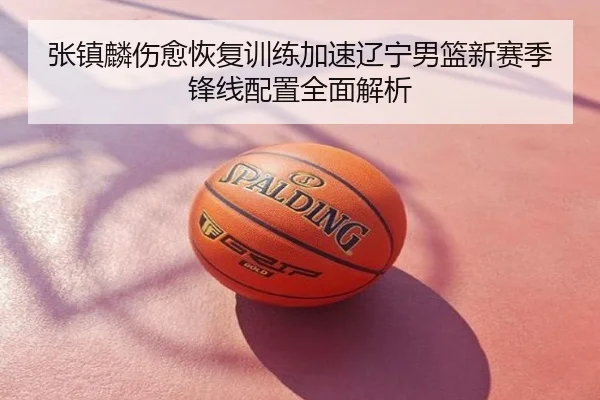 张镇麟伤愈恢复训练加速辽宁男篮新赛季锋线配置全面解析