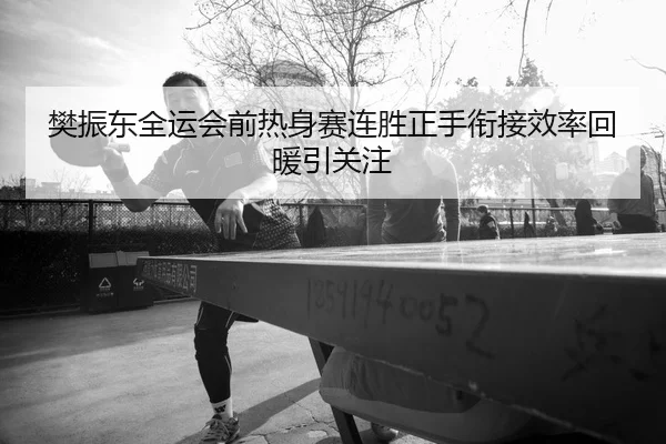 樊振东全运会前热身赛连胜正手衔接效率回暖引关注